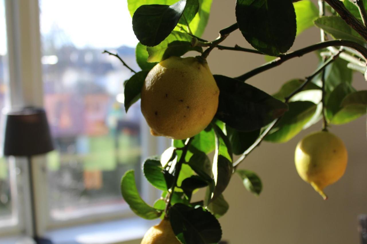 Moessebergs Vandrarhem Falköping エクステリア 写真
